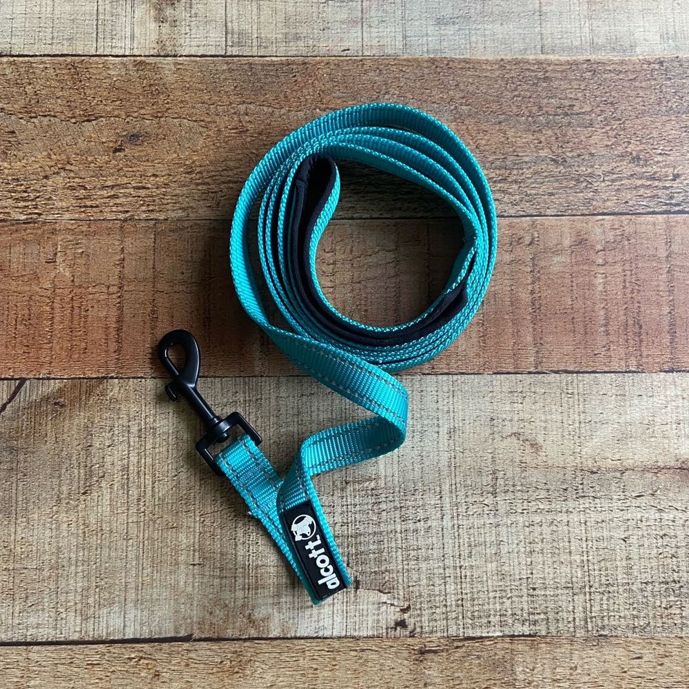Alcott Dog Leash L
